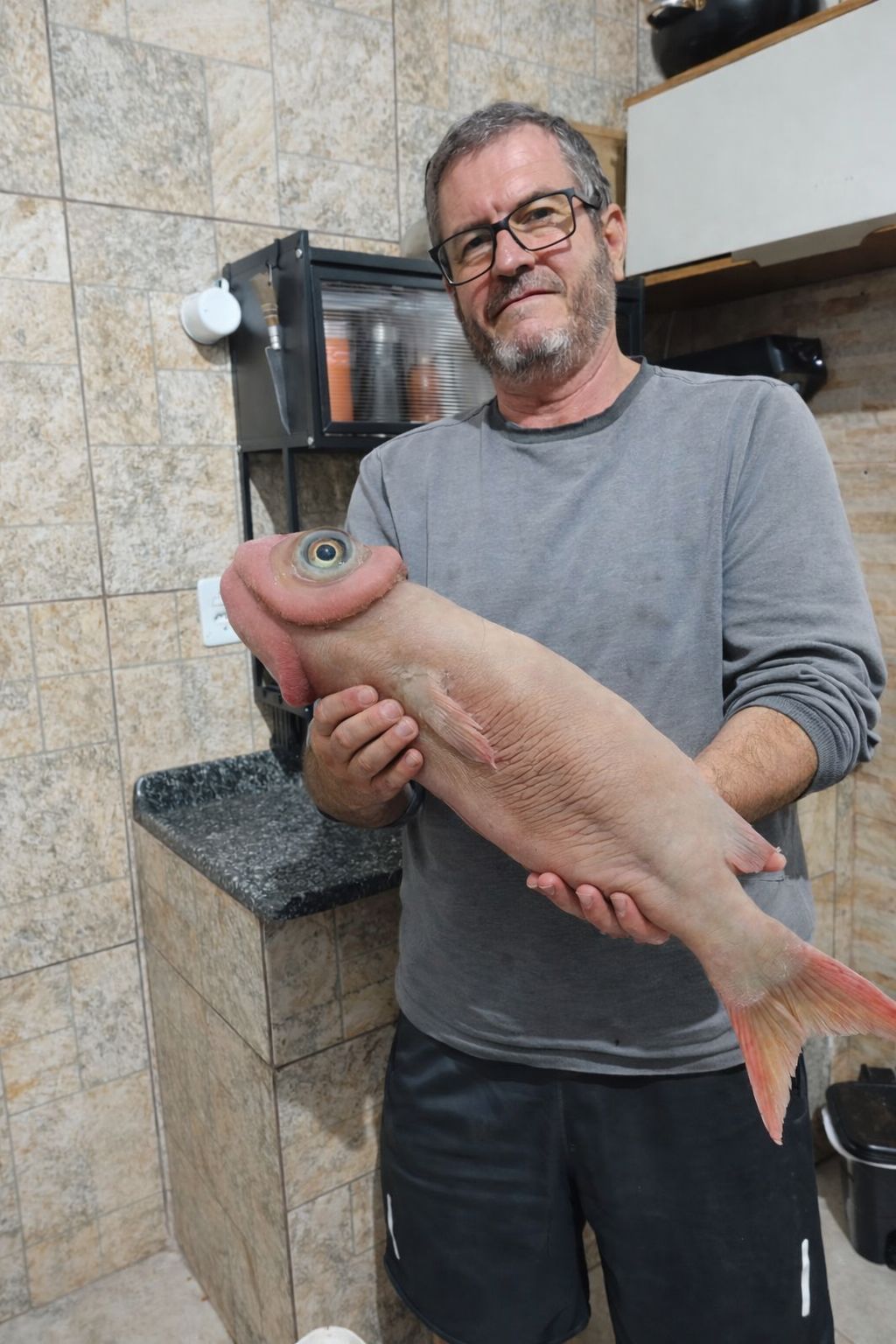 peixeipika